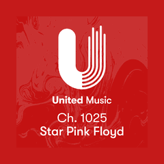 United Music Pink Floyd Ch.1025 radio