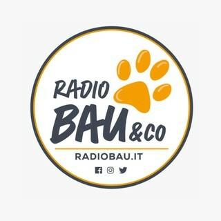 Radio Bau & Co radio