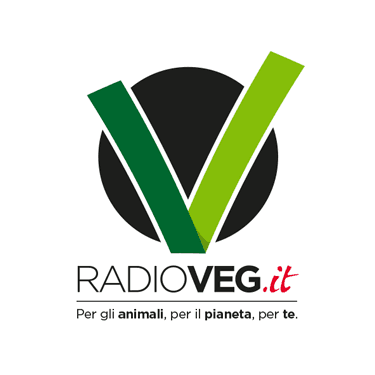 Radio Vegit radio