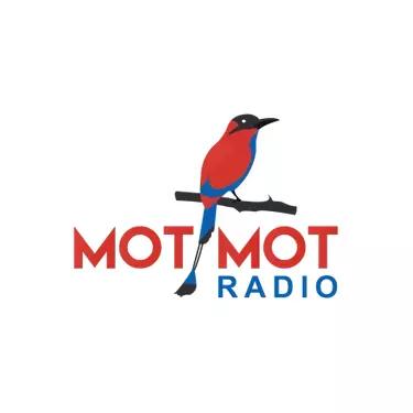 Motmot Radio radio