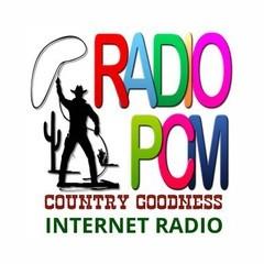 Radio PCM