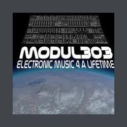 Modul 303 radio