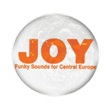 JOY (Radio Joystick) radio