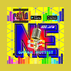 Radio NE FM 100.3 Gapan City radio