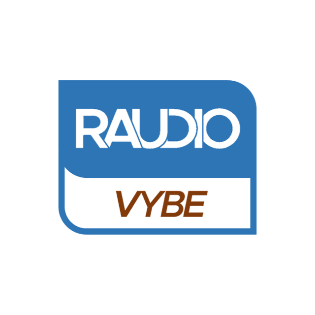 Raudio VYBE